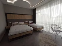 Dedem Hotel Express-İstanbul Airport-Round Trip Airport Service - Ramah Hewan Peliharaan