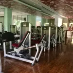 ITC Mughal, a Luxury Collection Resort & Spa, Agra - С тренажерным залом