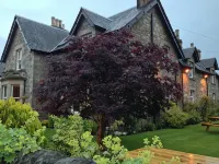 Buttonboss Lodge B&B