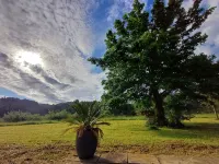 New Apartment with Garden in Villa Haritza Close to the Sea エアのホテル