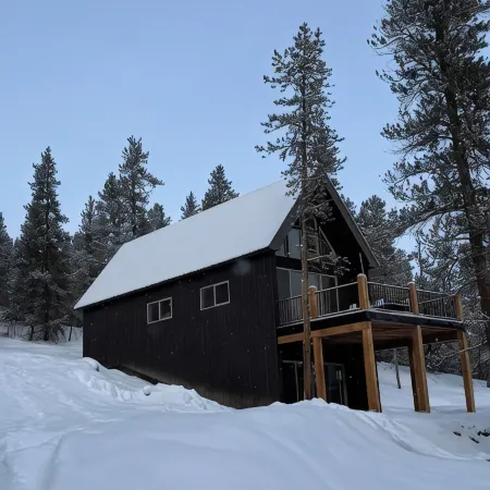 Modern Alpine Cabin in Twin Lakes