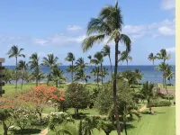 🌺Lush Oceanfront Penthouse with Pool, Hot Tub, Mountain Sunrises, Ocean Sunsets - Pool