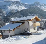 Luxury vacation home for summer with private pool and winter at the slopes - Homestays