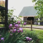 Bloomingdale Honeymoon Cabin Vintage Retreat with Mountain Views