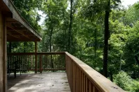 Retreat to Your Private Haven in the Trees - シャレー