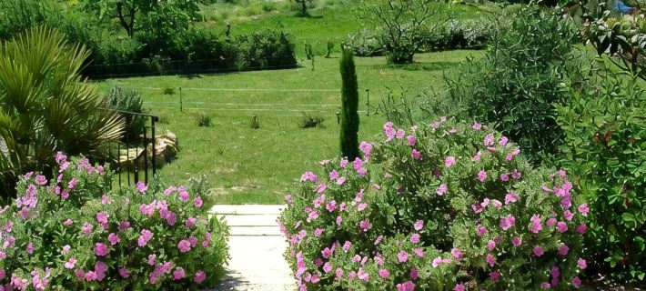 Country cottage fully furnished, in private property, quiet. Hotels in Draguignan