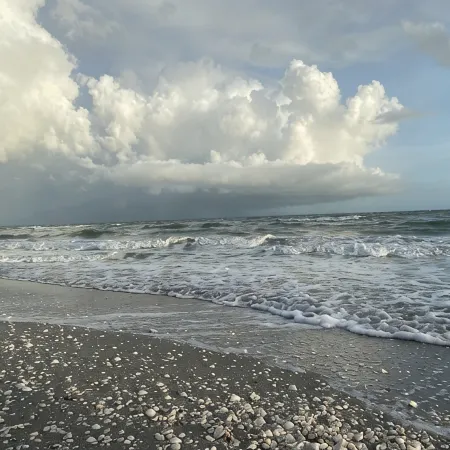 NEW condo! Just 15 min to Ft Myers and Sanibel beach! Great Location!!