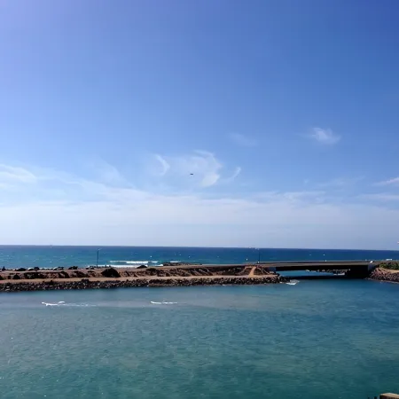 Best Spot in Carlsbad! Dog Friendly, Private Yard, Ocean View, Walk to beach.
