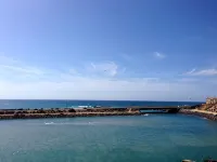Best Spot in Carlsbad! Dog Friendly, Private Yard, Ocean View, Walk to beach. - homestay