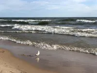 Charming RedBird Cottage- On A Back Dune, Walk To The Beach - Wifi