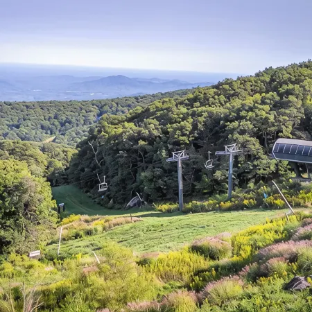 Luxury Condo in the Sky! Finest in Wintergreen!