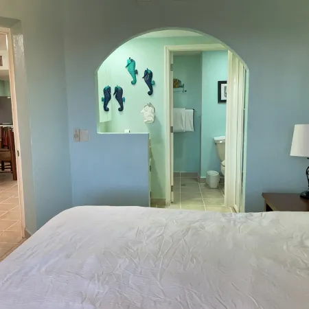 RockyCondo - Princesa C-303 Beach Front 2Bdrm 2Bath Condo