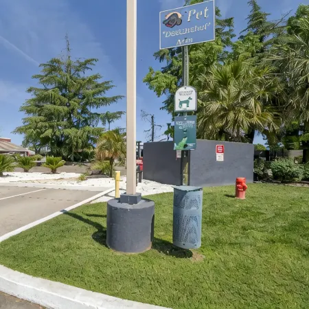 Best Western Antelope Inn Suites