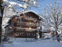 Dorfgasthof Adler Отели в г. Брегенц