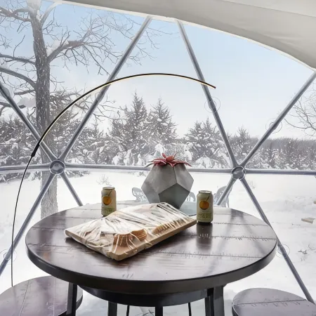 Unique, Fun, and Modern Queen Dome - 2 Queen Beds. Loft Accessed by Ladder.