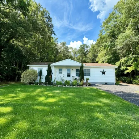 Country Escape Home in the Woods- Chesapeake, VA