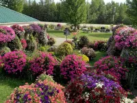 Sunset Motel at Armand's Gardens - 2-Star