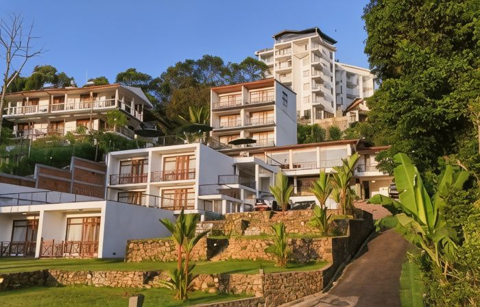 Alta Vista