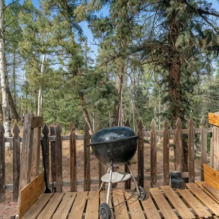 Cabin Near Wolf and Wildlife