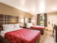Econo Lodge Inn & Suites Hotels in Murfreesboro