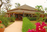Baobab Soleil