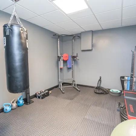 Luxury Centrally-Located 1Br/1BA Basement Apartment with Gym and W/D in Unit
