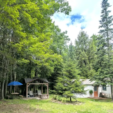 Private, Cozy Cottage in the woods