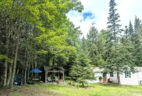 Private, Cozy Cottage in the woods - WiFi