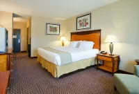 Holiday Inn Express & Suites BIRMINGHAM - INVERNESS 280 by IHG - spa