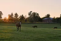 Renovated Train Station on Thoroughbred Horse Farm - Wifi