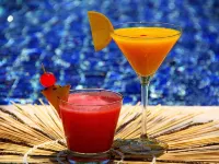 Camurim Grande Pousada & Spa - Jantar Incluído - bar