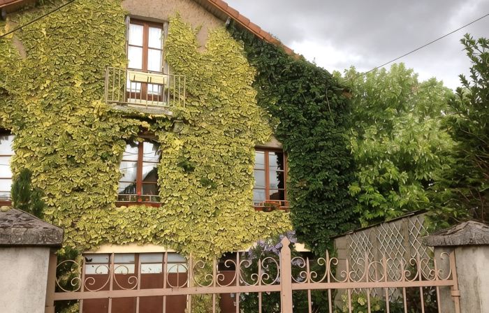 Chambres d'Hôtes des 3 Rois