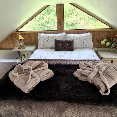 The Star Gazing Tree House