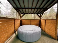 FREE Hot Tub Use + LV 2 EV Charging! Cozy Cabin - 5 min from Belfair State Park - Chalets