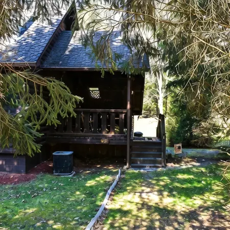 Country Cabin within minutes of the New River Gorge National Park & Preserve.