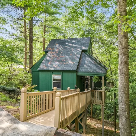 Hidden Gem Cabin: Dog friendly, cozy cabin nestled in the heart of Helen, GA