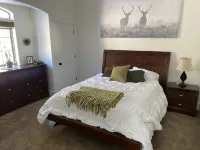 Family Getaway in the Pines - نادي رياضي