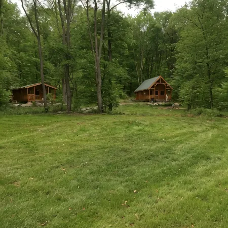 Maple Leaf Charming Log Cabin in the Woods Upgraded with Fiber Optic Internet