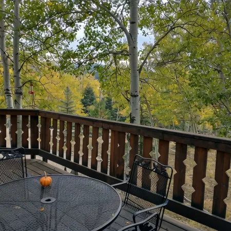 Mountain Chalet Tucked in Aspen Grove with Mountain Views