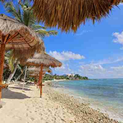 Penthouse-Balcony w Hammock, Direct Ocean View, Half Moon Bay, Akumal Fitness & Recreational Facilities