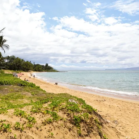 Oceanfront, Split AC unit, remodeled November 2024, king bed washer dryer unit