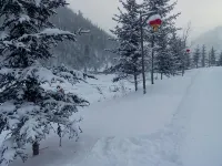 Snow Valley Yangyang Inn - Losmen