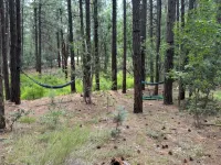 New Beautiful Cabin Located in Quiet Torreon Cul-De-Sac - Boutique