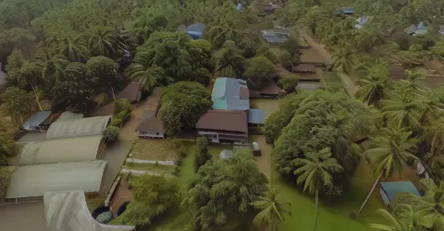 Teak Town