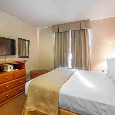 Quality Inn & Suites Lethbridge Rooms