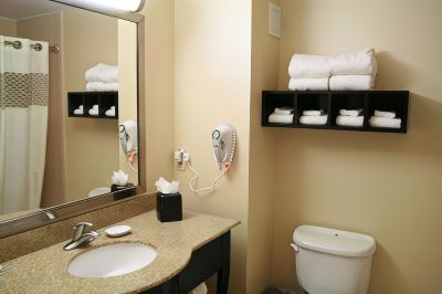 Mobility Accessible King Room with Roll in Shower