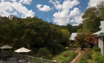 a beautiful garden with trees , shrubs , and a wooden deck , under a blue sky dotted with clouds at Glen-Ella Springs Inn