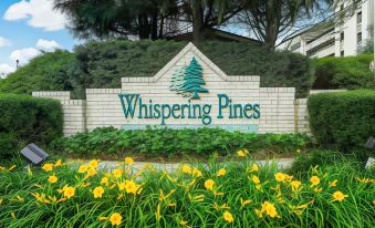 Family Gatherings-Whispering Pines