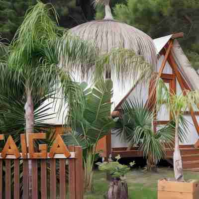 Taiga Tarifa Hotel Exterior