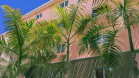 Hotel Marimba Punta Cana Отели в г. 